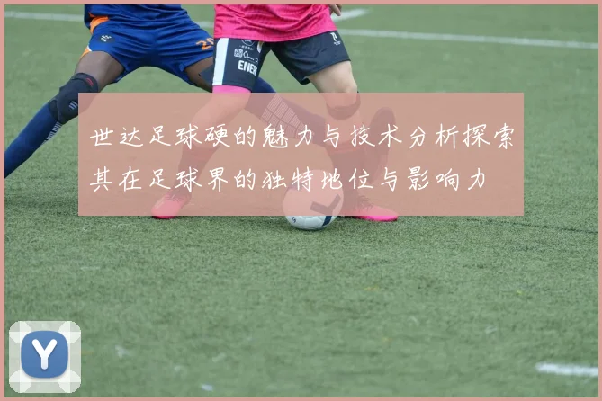 世达足球硬的魅力与技术分析探索其在足球界的独特地位与影响力